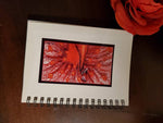 Load image into Gallery viewer, Delta Iota Delta purse sized customizable notebook
