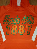 Load image into Gallery viewer, FAMU Hoodie embroidered
