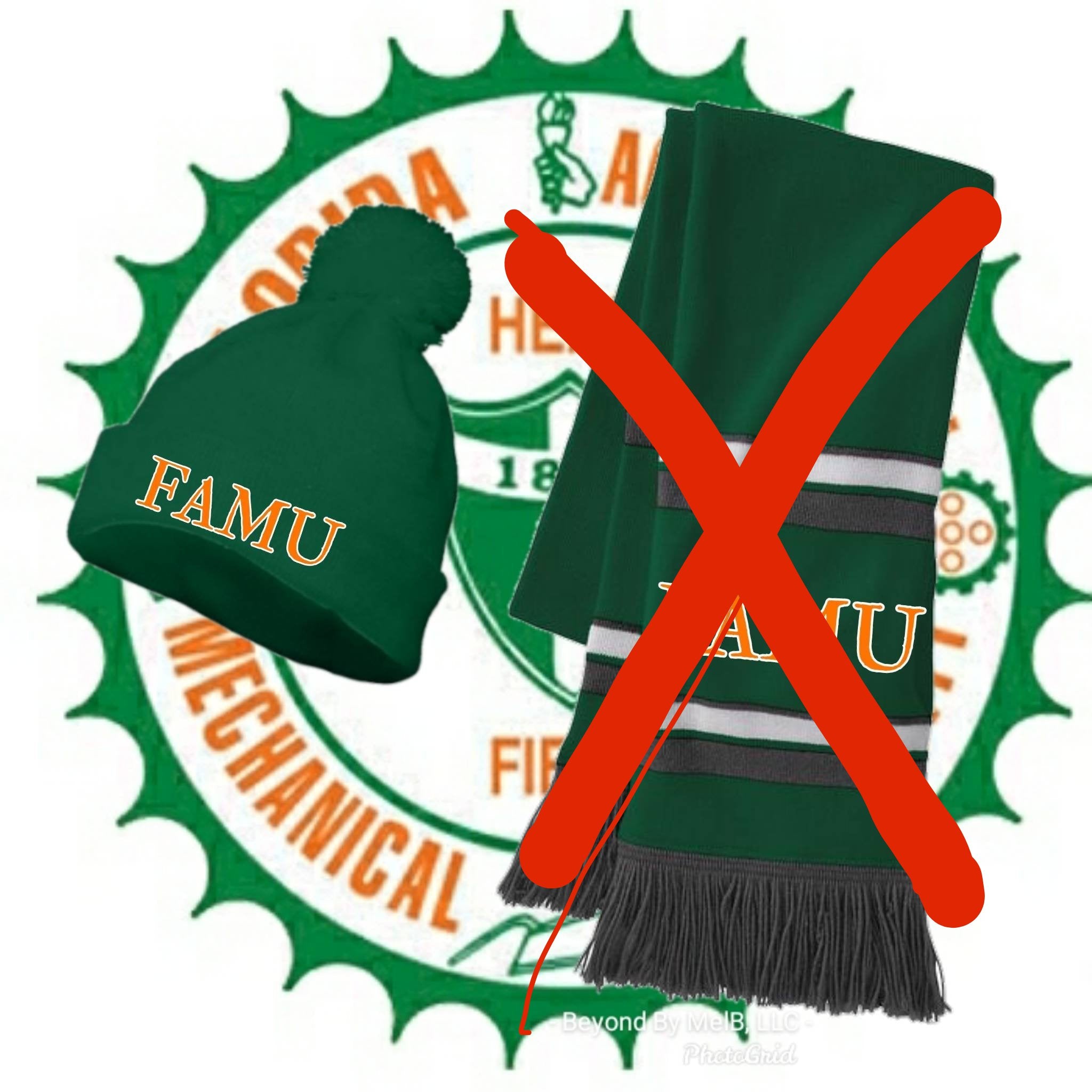 FAMU beanie hat ( poof or tassle)